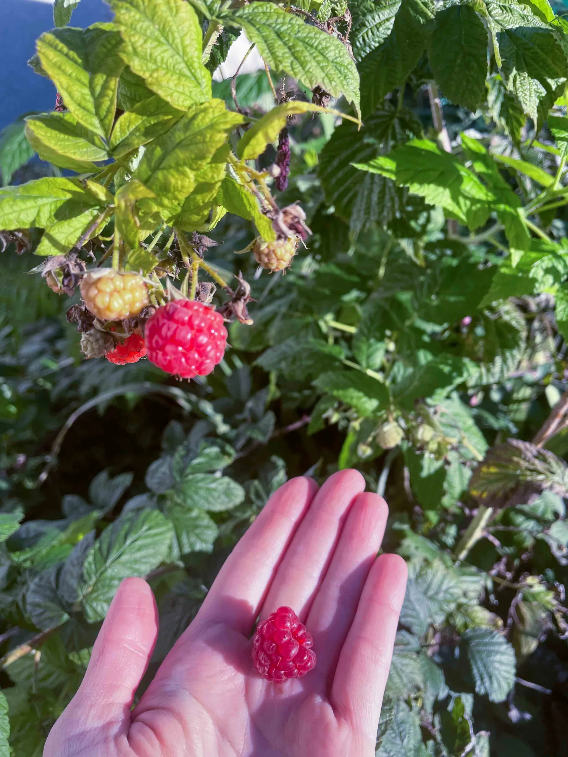 La Villa outdoor space